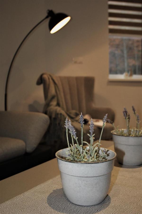 Apartman Rmntk Chopok Juh Horná Lehota Buitenkant foto